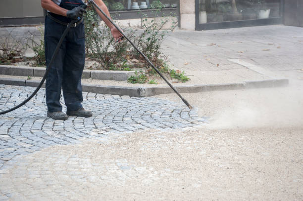 Best Roof Cleaning and Mildew Removal in Royse City, TX